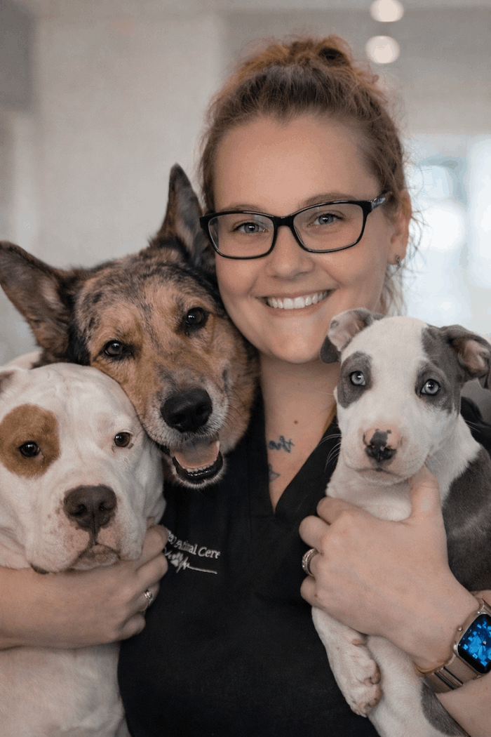 SJB veterinarian examining dog with grooming assistant in Jacksonville