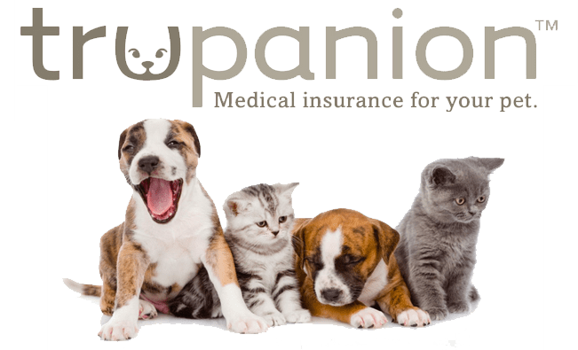 trupanion trupanion pet medical insurance logo