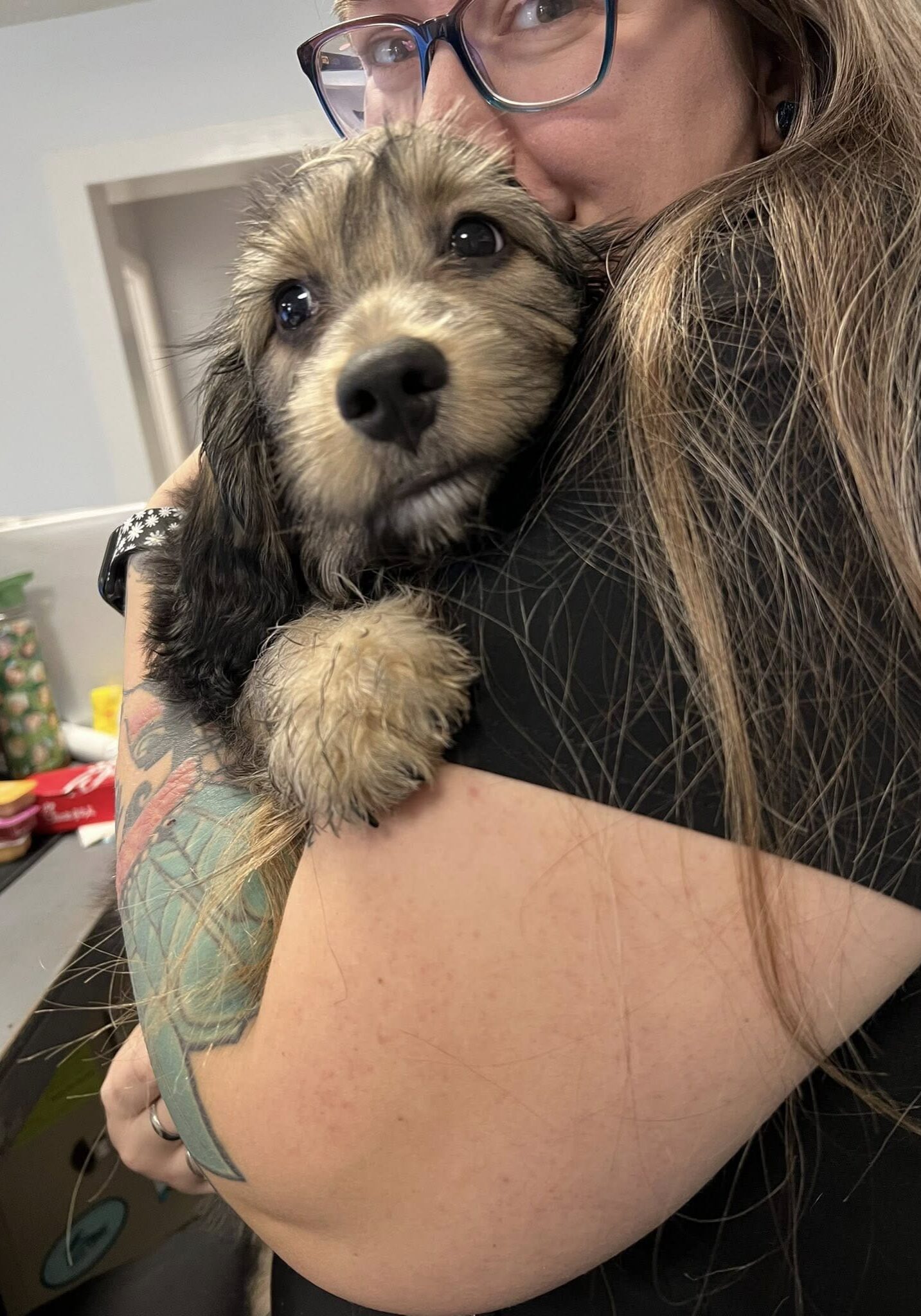 651653088_953698367169508_3946540240508396137_n