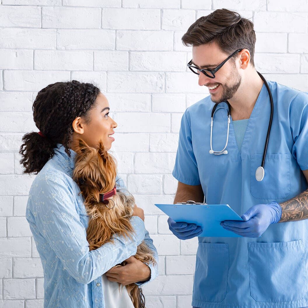 annual-veterinary-checkup-young-doctor-talking-to-2021-08-29-04-54-42-utc annual-veterinary-checkup-young-doctor-talking-to-2021-08-29-04-54-42-utc
