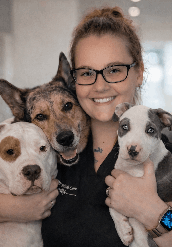 SJB veterinarian examining dog with grooming assistant in Jacksonville