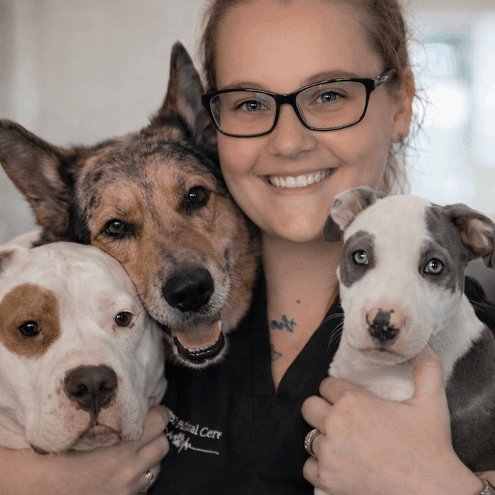 SJB veterinarian examining dog with grooming assistant in Jacksonville